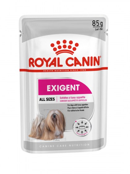 CCN EXIGENT 12X85G_web